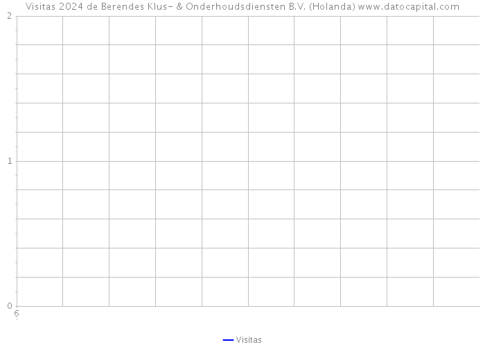 Visitas 2024 de Berendes Klus- & Onderhoudsdiensten B.V. (Holanda) 