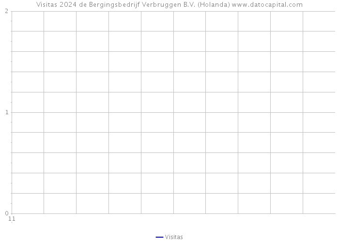Visitas 2024 de Bergingsbedrijf Verbruggen B.V. (Holanda) 