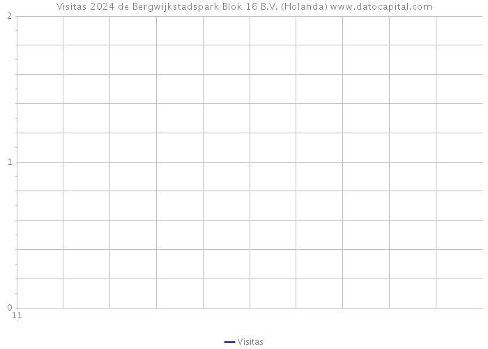 Visitas 2024 de Bergwijkstadspark Blok 16 B.V. (Holanda) 