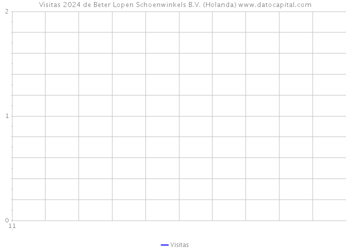 Visitas 2024 de Beter Lopen Schoenwinkels B.V. (Holanda) 