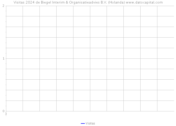 Visitas 2024 de Biegel Interim & Organisatieadvies B.V. (Holanda) 