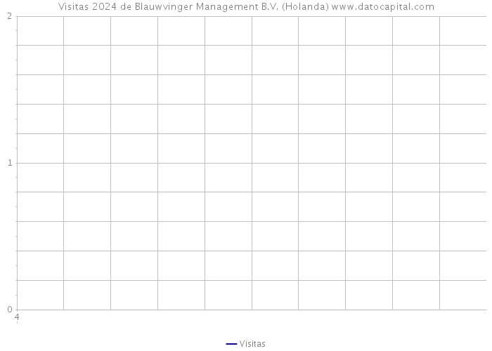 Visitas 2024 de Blauwvinger Management B.V. (Holanda) 