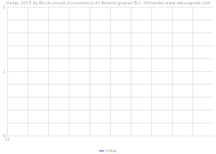 Visitas 2024 de Blockconsult Accountancy en Belastingzaken B.V. (Holanda) 
