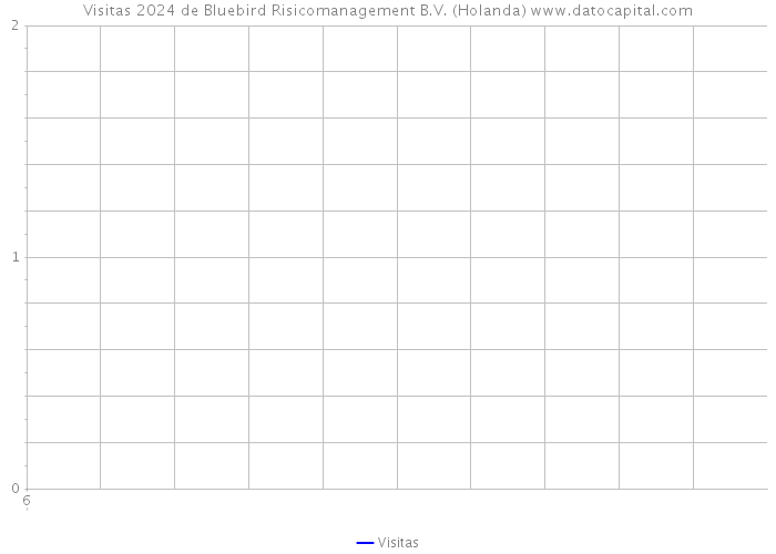 Visitas 2024 de Bluebird Risicomanagement B.V. (Holanda) 