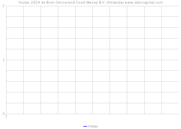 Visitas 2024 de Boer Onroerend Goed Wezep B.V. (Holanda) 