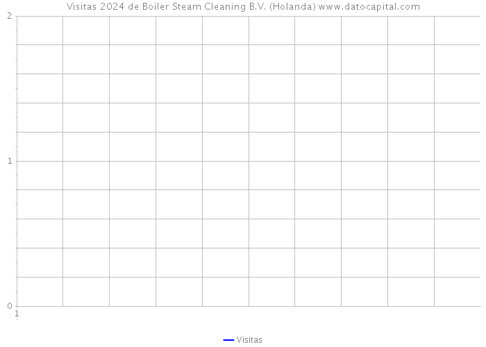 Visitas 2024 de Boiler Steam Cleaning B.V. (Holanda) 