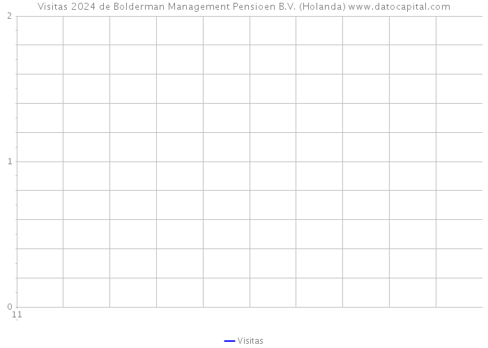 Visitas 2024 de Bolderman Management Pensioen B.V. (Holanda) 
