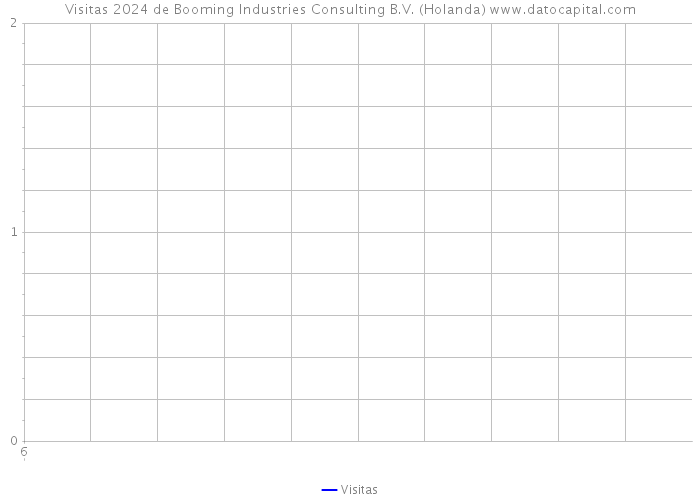 Visitas 2024 de Booming Industries Consulting B.V. (Holanda) 