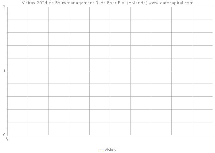 Visitas 2024 de Bouwmanagement R. de Boer B.V. (Holanda) 