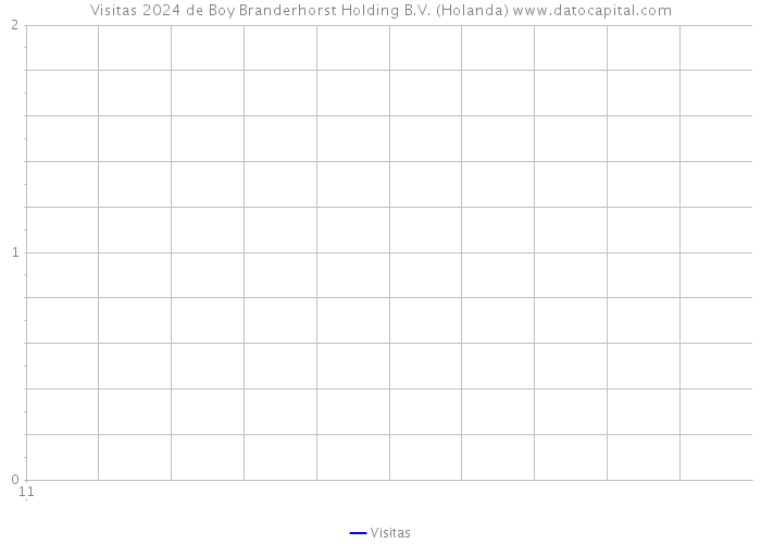Visitas 2024 de Boy Branderhorst Holding B.V. (Holanda) 