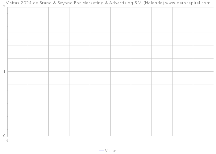 Visitas 2024 de Brand & Beyond For Marketing & Advertising B.V. (Holanda) 