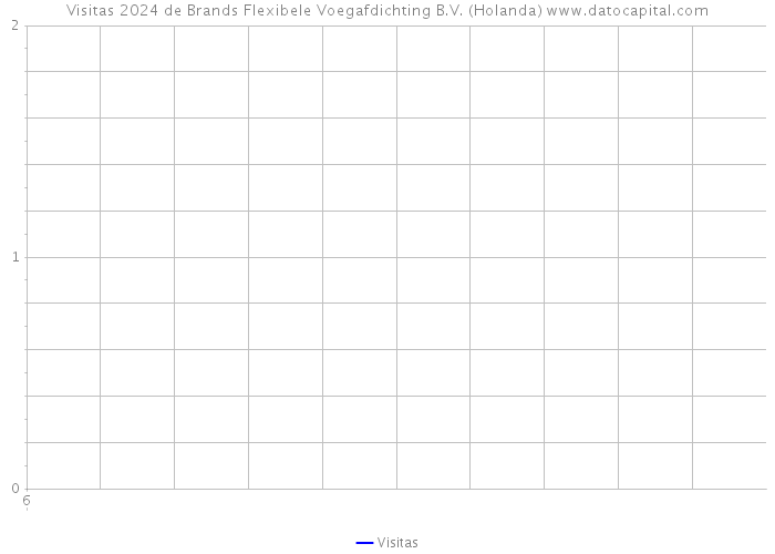 Visitas 2024 de Brands Flexibele Voegafdichting B.V. (Holanda) 