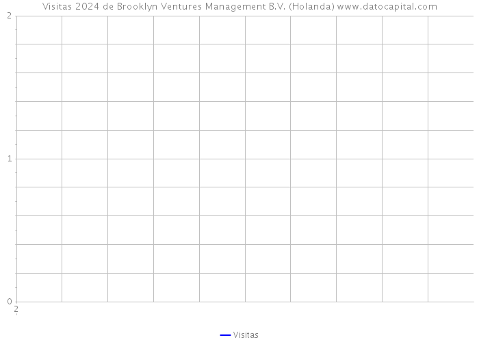 Visitas 2024 de Brooklyn Ventures Management B.V. (Holanda) 
