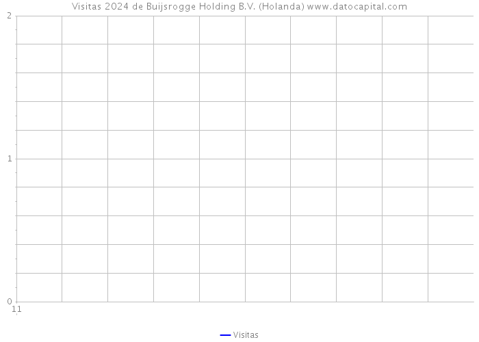 Visitas 2024 de Buijsrogge Holding B.V. (Holanda) 