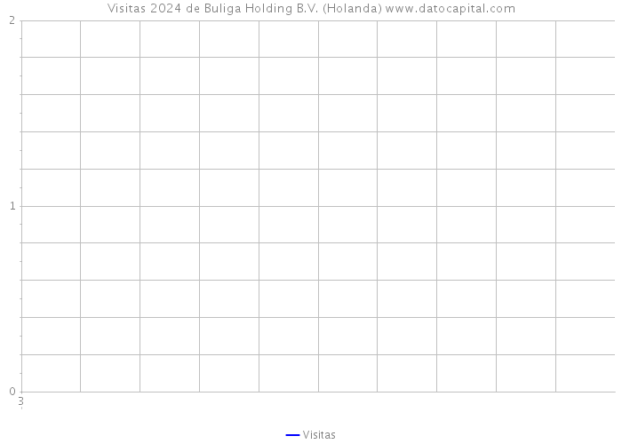 Visitas 2024 de Buliga Holding B.V. (Holanda) 