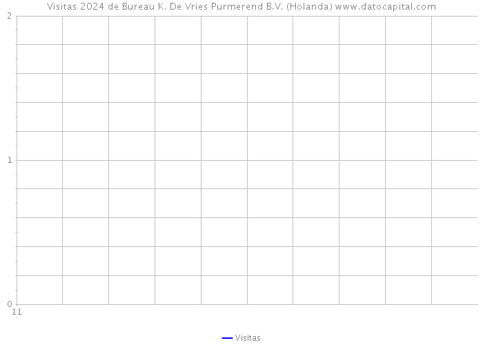 Visitas 2024 de Bureau K. De Vries Purmerend B.V. (Holanda) 