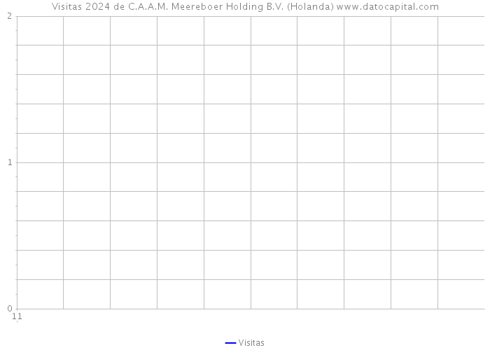 Visitas 2024 de C.A.A.M. Meereboer Holding B.V. (Holanda) 