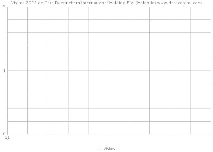 Visitas 2024 de Cate Doetinchem International Holding B.V. (Holanda) 