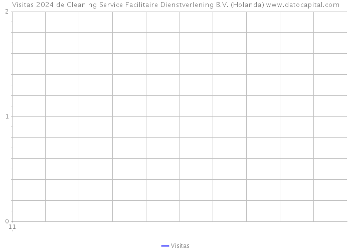 Visitas 2024 de Cleaning Service Facilitaire Dienstverlening B.V. (Holanda) 