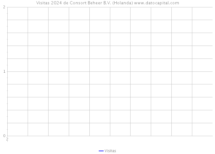 Visitas 2024 de Consort Beheer B.V. (Holanda) 