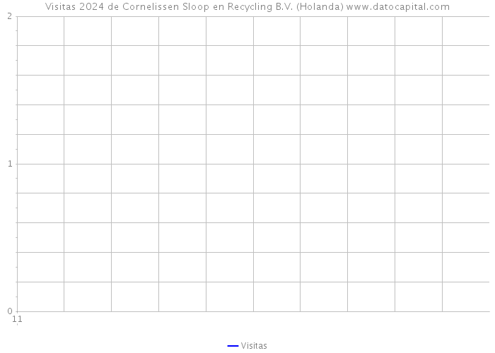 Visitas 2024 de Cornelissen Sloop en Recycling B.V. (Holanda) 