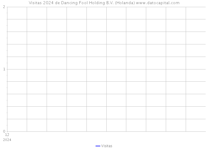 Visitas 2024 de Dancing Fool Holding B.V. (Holanda) 