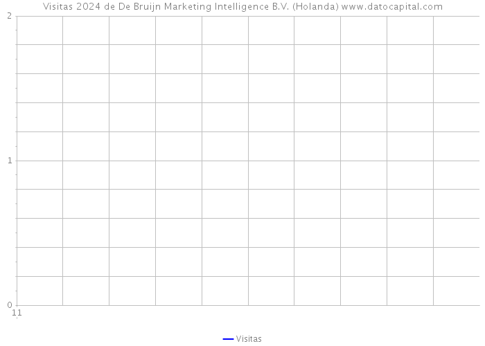 Visitas 2024 de De Bruijn Marketing Intelligence B.V. (Holanda) 