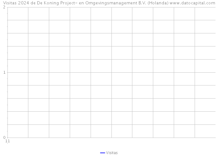 Visitas 2024 de De Koning Project- en Omgevingsmanagement B.V. (Holanda) 