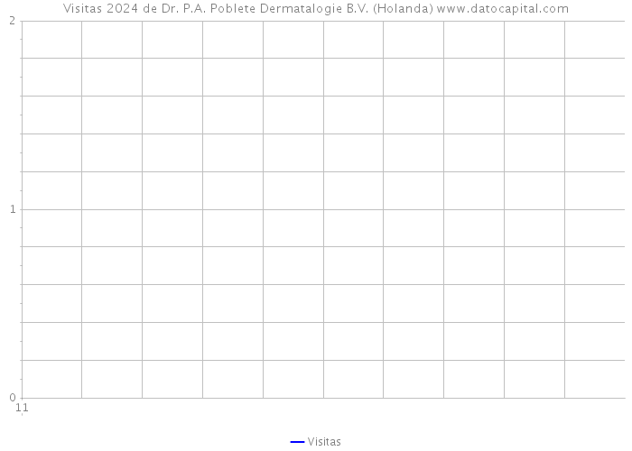 Visitas 2024 de Dr. P.A. Poblete Dermatalogie B.V. (Holanda) 