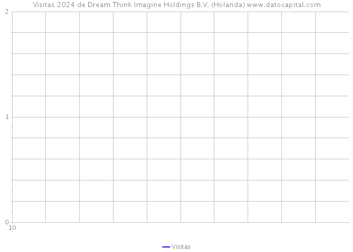 Visitas 2024 de Dream Think Imagine Holdings B.V. (Holanda) 
