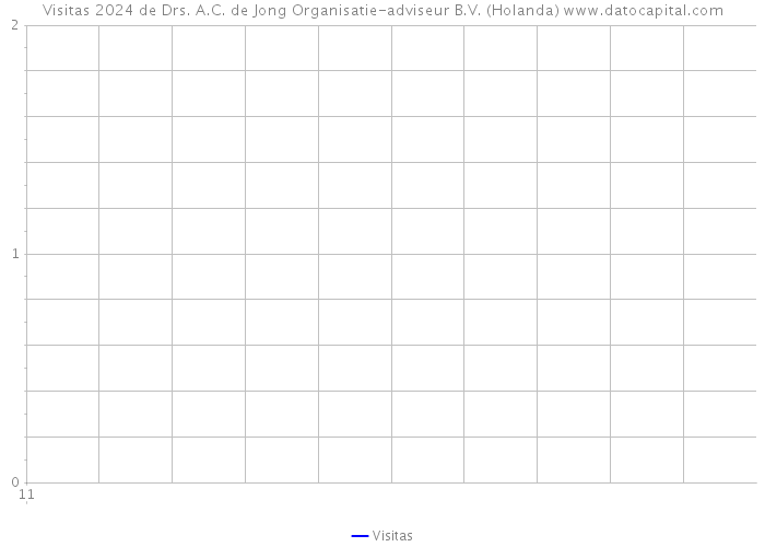 Visitas 2024 de Drs. A.C. de Jong Organisatie-adviseur B.V. (Holanda) 