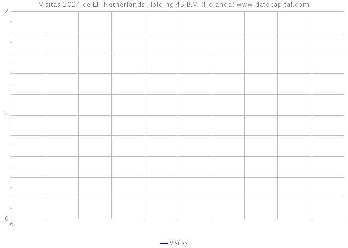 Visitas 2024 de EH Netherlands Holding 45 B.V. (Holanda) 