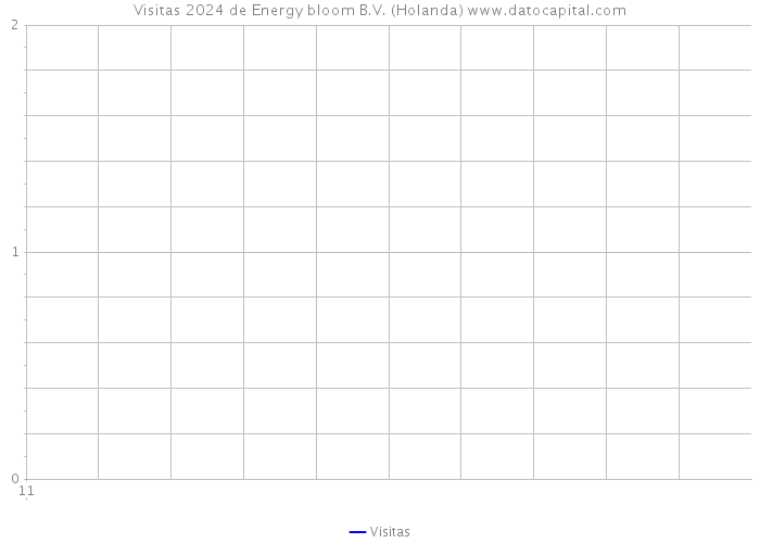 Visitas 2024 de Energy bloom B.V. (Holanda) 