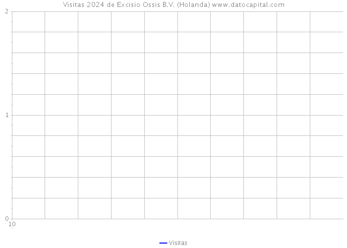 Visitas 2024 de Excisio Ossis B.V. (Holanda) 