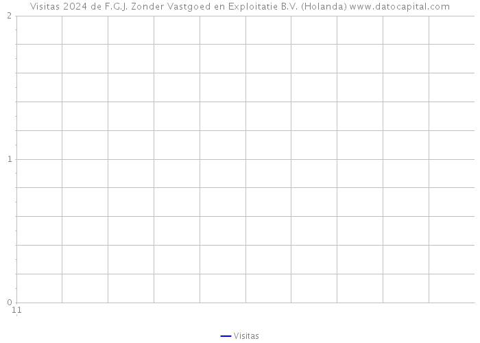 Visitas 2024 de F.G.J. Zonder Vastgoed en Exploitatie B.V. (Holanda) 