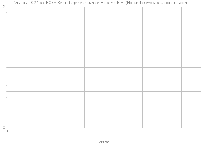 Visitas 2024 de FCBA Bedrijfsgeneeskunde Holding B.V. (Holanda) 