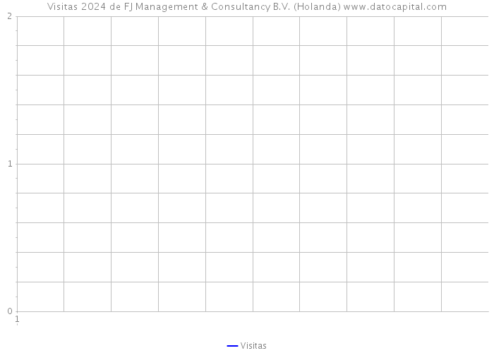 Visitas 2024 de FJ Management & Consultancy B.V. (Holanda) 