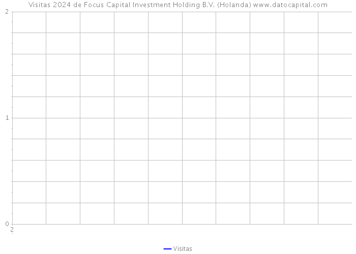 Visitas 2024 de Focus Capital Investment Holding B.V. (Holanda) 