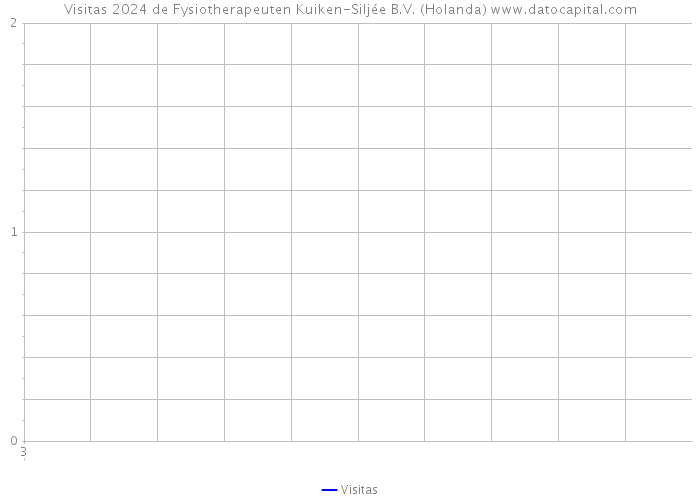 Visitas 2024 de Fysiotherapeuten Kuiken-Siljée B.V. (Holanda) 