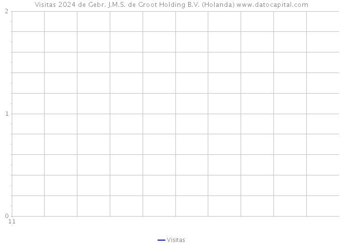 Visitas 2024 de Gebr. J.M.S. de Groot Holding B.V. (Holanda) 