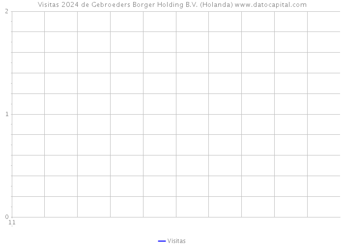 Visitas 2024 de Gebroeders Borger Holding B.V. (Holanda) 