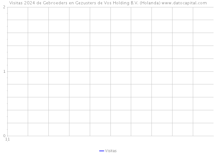 Visitas 2024 de Gebroeders en Gezusters de Vos Holding B.V. (Holanda) 