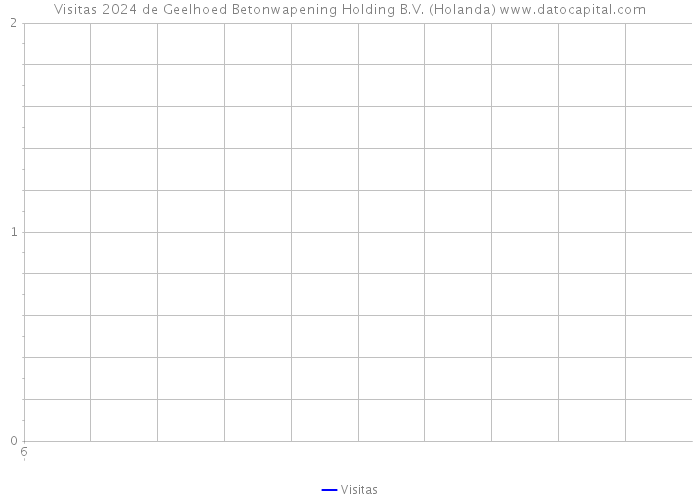 Visitas 2024 de Geelhoed Betonwapening Holding B.V. (Holanda) 