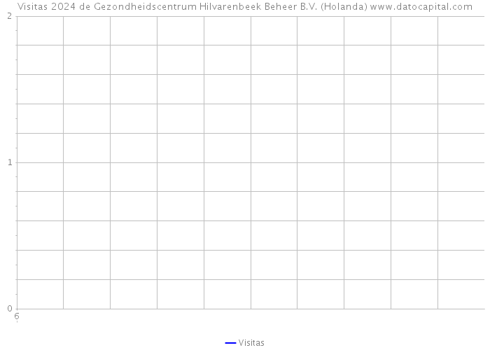 Visitas 2024 de Gezondheidscentrum Hilvarenbeek Beheer B.V. (Holanda) 