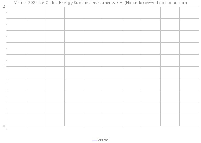 Visitas 2024 de Global Energy Supplies Investments B.V. (Holanda) 