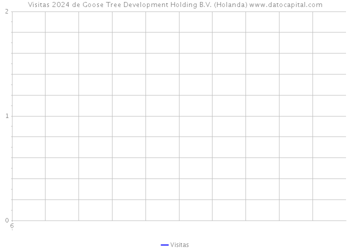 Visitas 2024 de Goose Tree Development Holding B.V. (Holanda) 