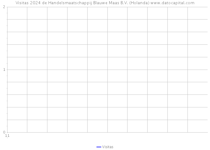 Visitas 2024 de Handelsmaatschappij Blauwe Maas B.V. (Holanda) 