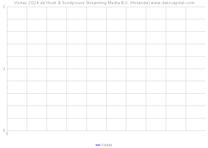 Visitas 2024 de Hoek & Sonépouse Streaming Media B.V. (Holanda) 