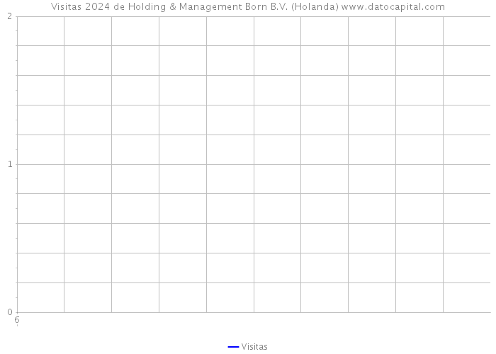 Visitas 2024 de Holding & Management Born B.V. (Holanda) 