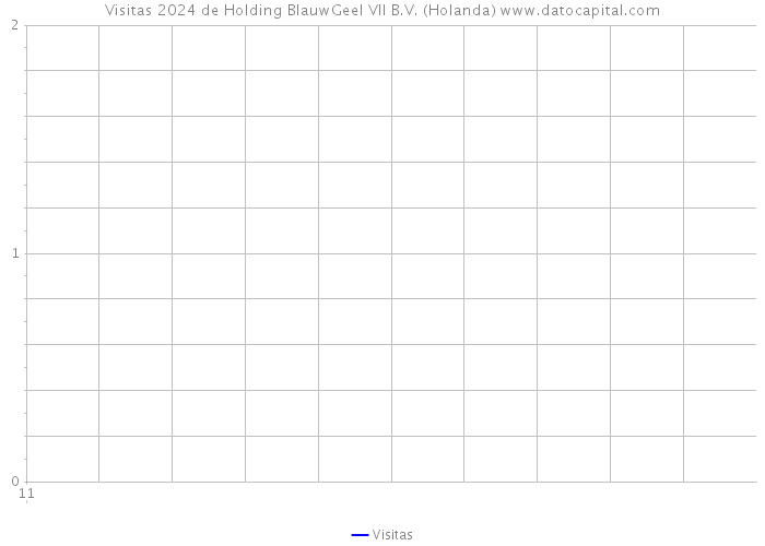 Visitas 2024 de Holding BlauwGeel VII B.V. (Holanda) 